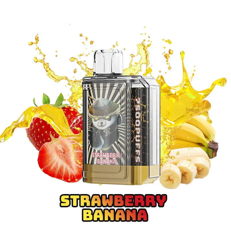 Disposable Vapes Rechargeable